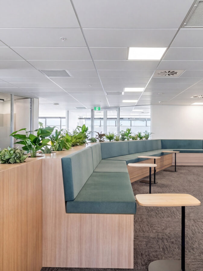 WSP Tauranga Interior Fit Out