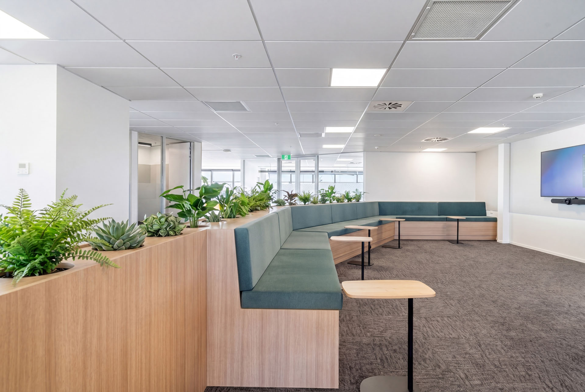 B3-Interiors-WSP-Interior-fir-out-Tauranga-1