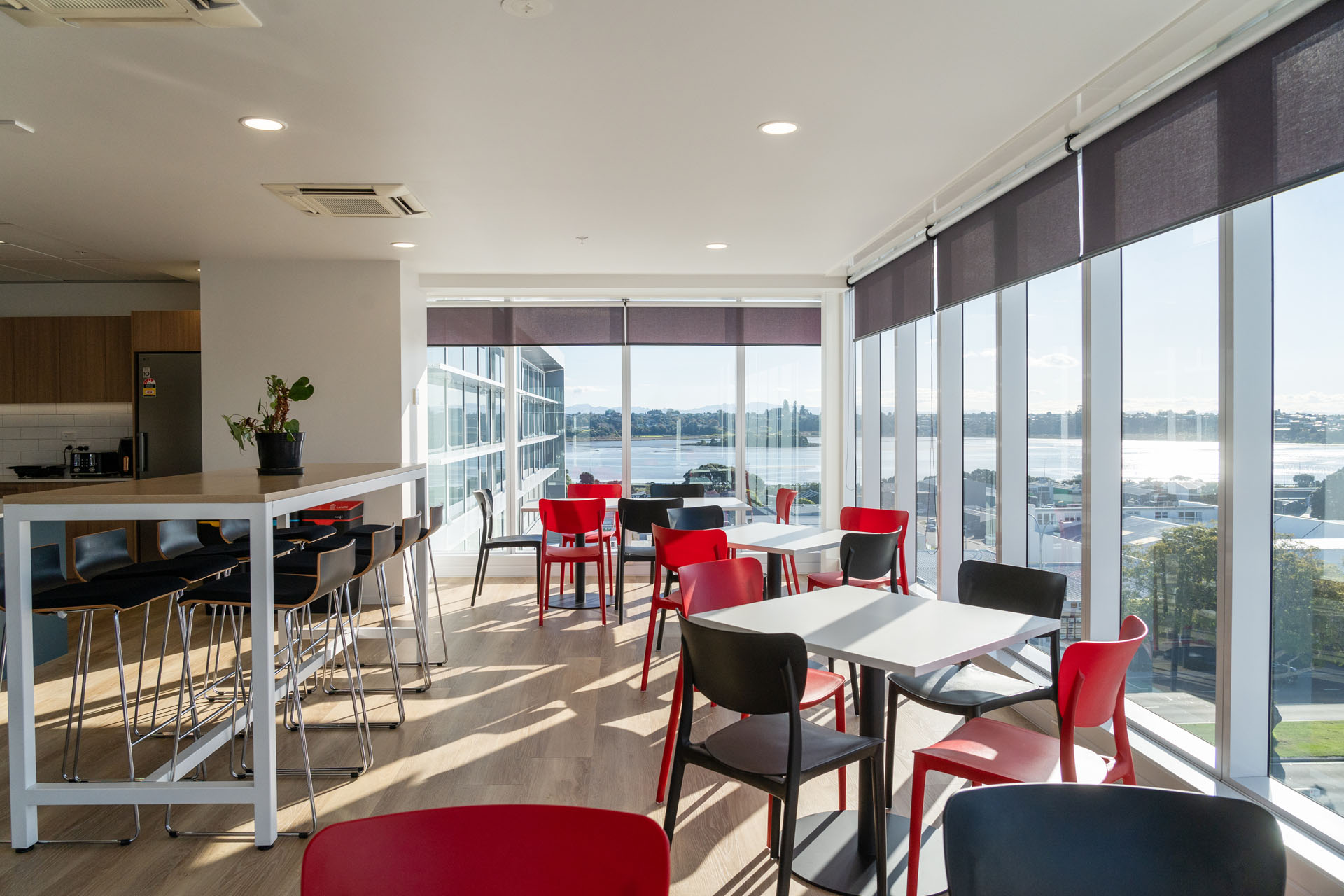 B3-Interiors-WSP-Interior-fir-out-Tauranga-6